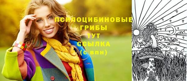 spice Балахна