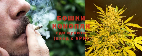 spice Балахна